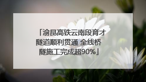 渝昆高铁云南段育才隧道顺利贯通 全线桥隧施工完成超90%